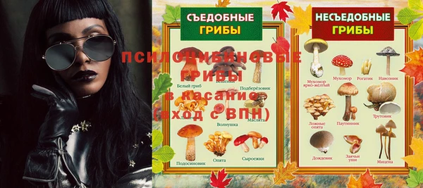 мяу мяу мука Медвежьегорск