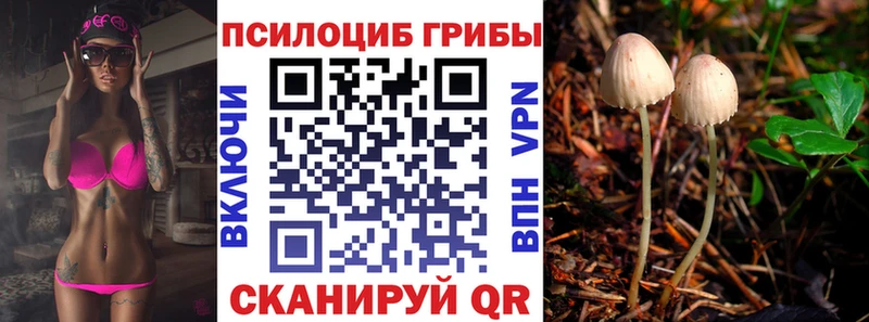 Псилоцибиновые грибы Psilocybine cubensis  Купить закладки  Полесск 